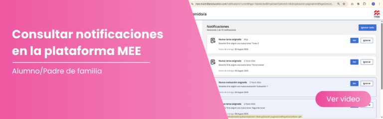 Cómo consultar mis notificaciones en MEE